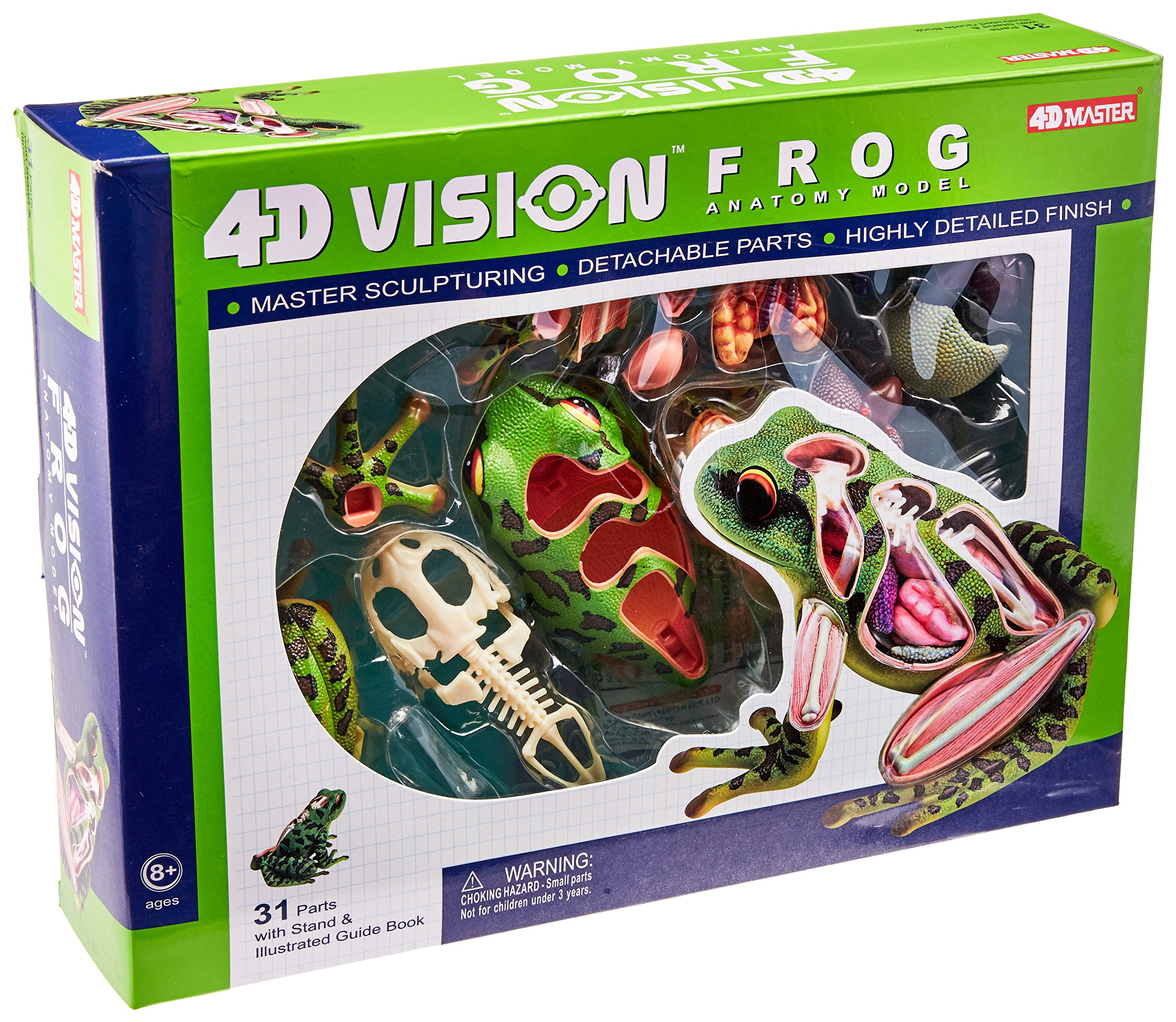 4D Vision - model anatomie žáby - 31 orgánů