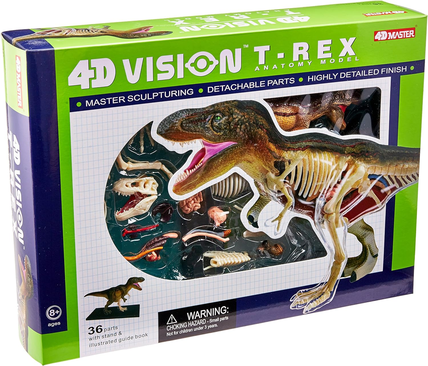 4D Vision T-REX - model anatomie - 36 orgánů