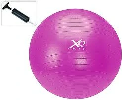 Gymnastický míč GYMBALL XQ MAX 65 cm růžový