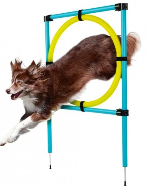 Kruh pro psy Carinura Agility Ø 65 cm