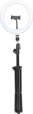 Intempo Stojanové kruhové selfie světlo 26 cm EE7222