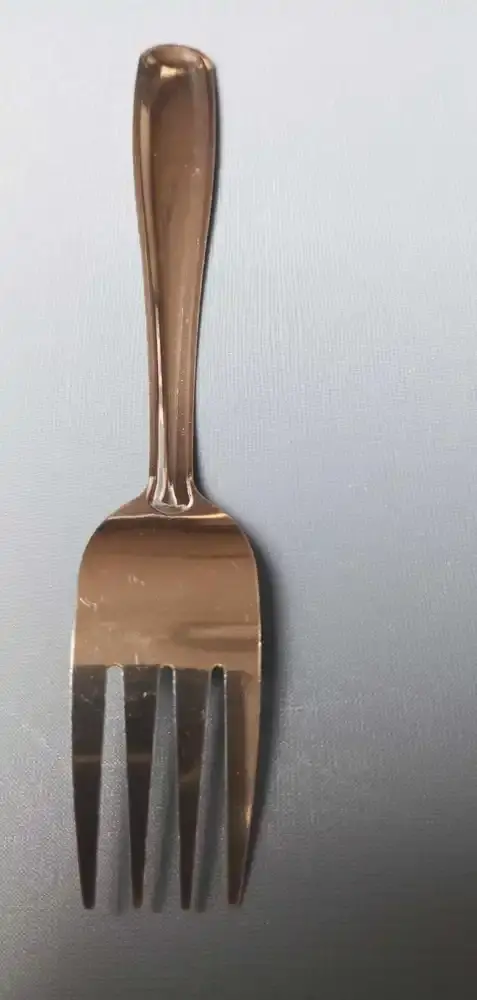 Vidlička jídelní nerez - Use&Reuse 50 ks