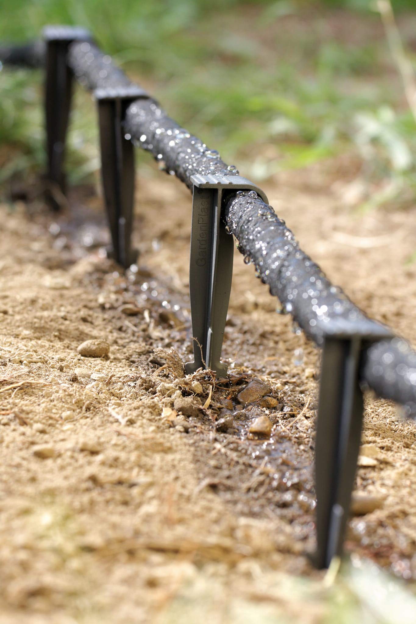 Kolíky Gardenplast WATERPEG k připevnění kapkové závlahy 25 ks 16 cm