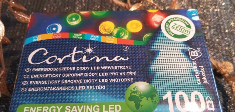 VNITŘNÍ VÁNOČNÍ OSVĚTLENÍ CORTINA 100 LED - 490 CM