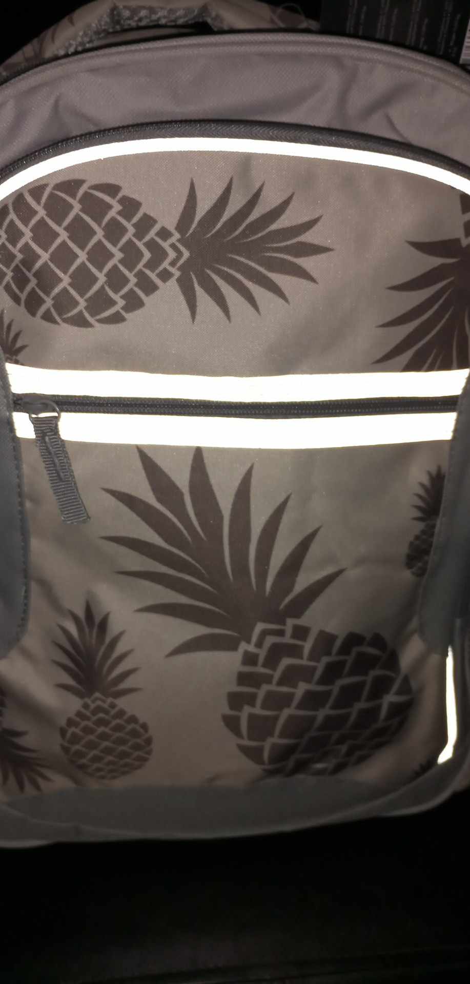 Školní batoh OXYBAG - ANANAS